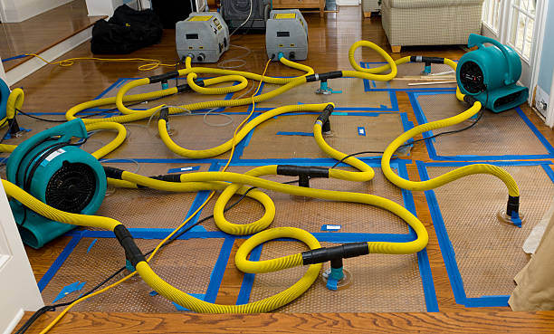 Professional Crawl Space Water Removal technician working in Martinsburg, OH